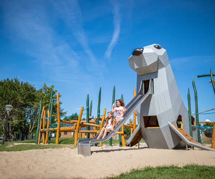 Play Area