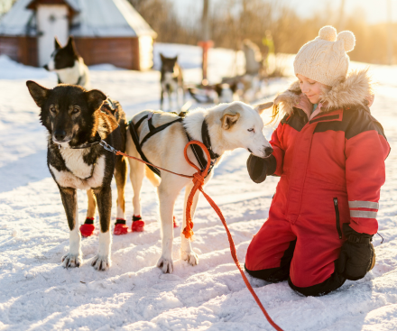 2-Night Breaks